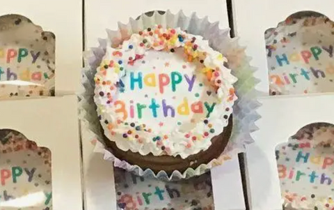 Doggie Birthday Cupcake