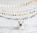 Party Animal Dog Banner